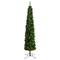 8ft. Pre-Lit Green Pine Artificial Christmas Tree, Clear LED Lights